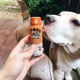 Siro kích thích thèm ăn, Bổ Sung Vitamin & Omega3 cho 🐶