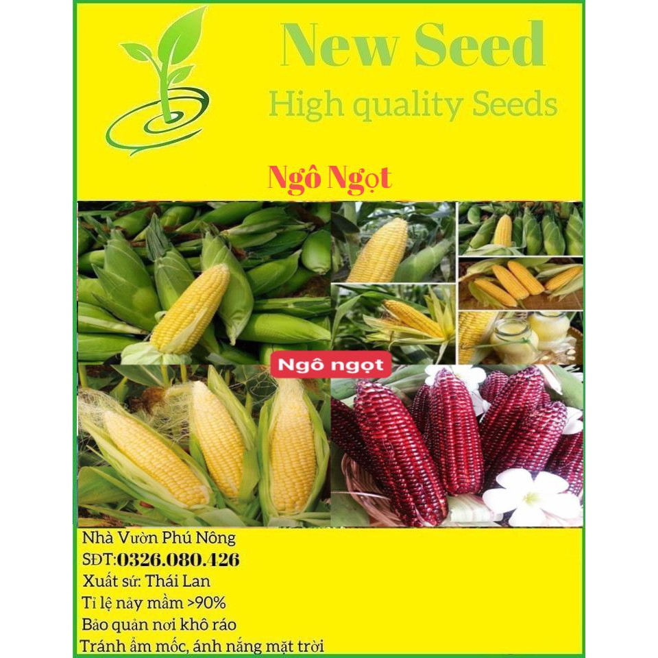 Hạt giống bắp mỹ ngọt dễ trồng năng suất cao thơm ngon kháng bệnh tốt gói 30 hạt nhà cửa và đời sống cửa hàng hạt giống
