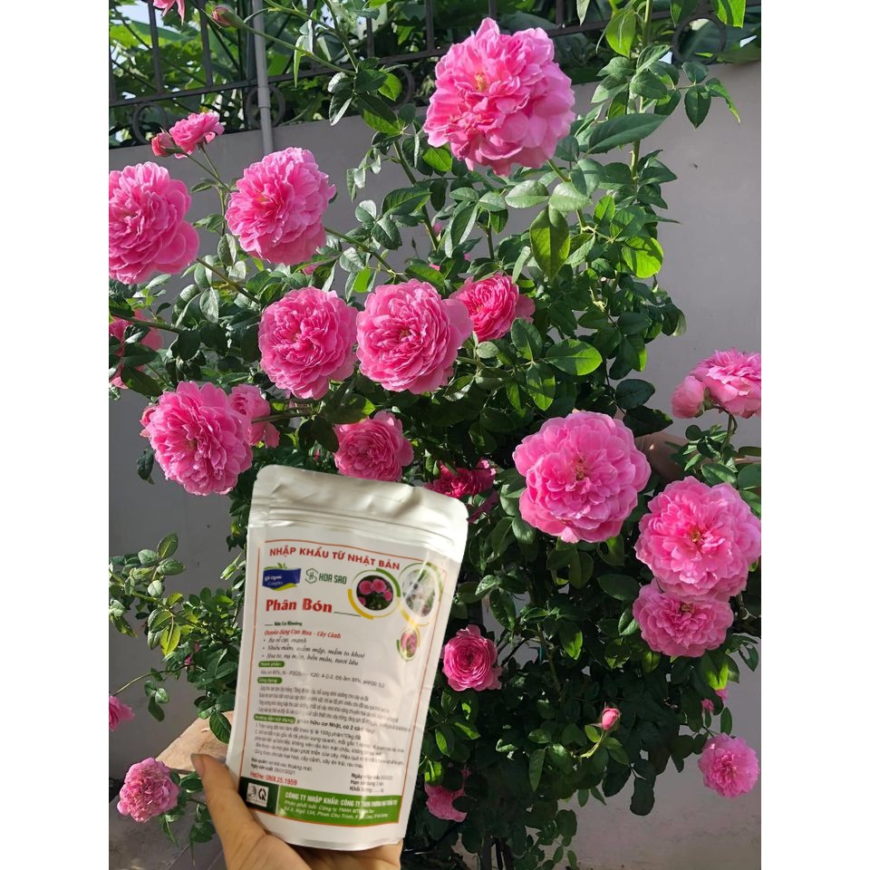 Gói 250g Phân bón hữu cơ của Nhật, phân bón hoa hồng, giúp cây sai hoa bật nhiều mầm chồi