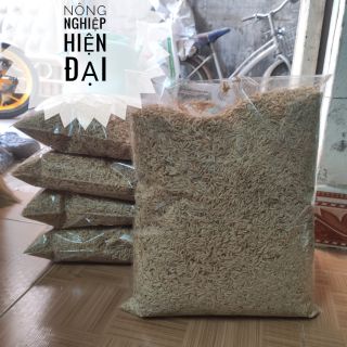 VỎ TRẤU TƯƠI TRỒNG LAN, TRỒNG CÂY, LÓT CHUỒNG GÓI 5DM