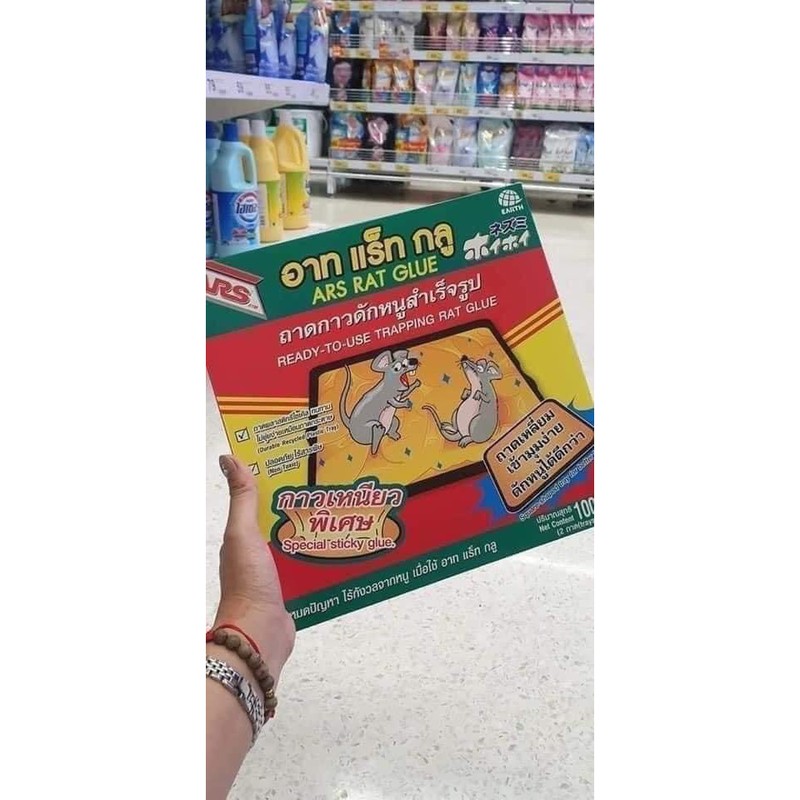 KEO DÍNH CHUỘT THÁI