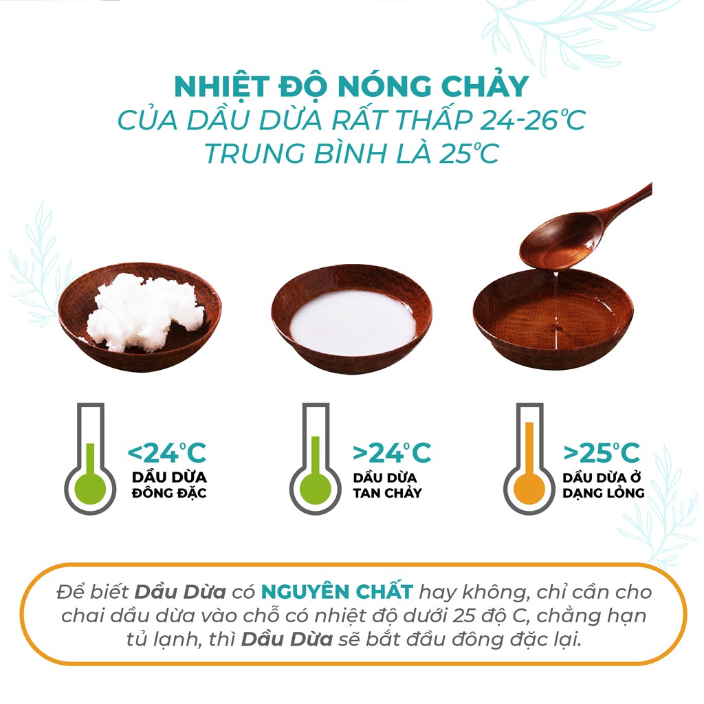 Dầu Dừa/ Dầu Olive ép lạnh ly tâm cao cấp PK 100ml, Chăm sóc da, dưỡng mi, massage giảm mỡ bụng