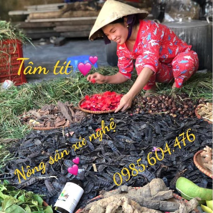 [Vietfarm_Organic] Dầu gội Bồ Kết Cô Đặc (500ml) | BigBuy360 - bigbuy360.vn
