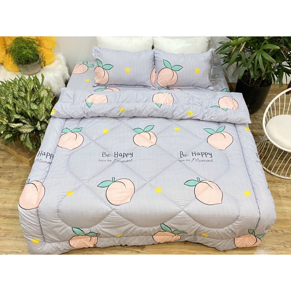 Bộ Chăn Ga Gối Cotton Poly Chăn Chần Bông 5 Món Có Sẵn