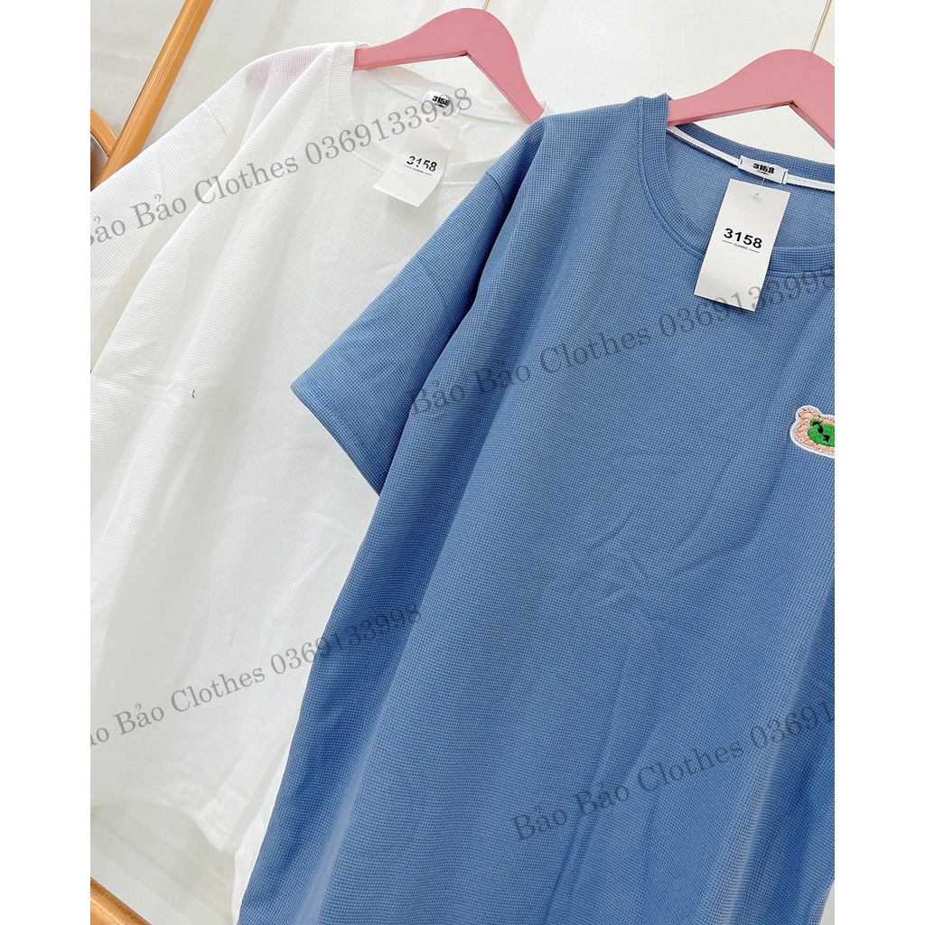 Áo Thun Nam Nữ  Chất Tổ Ong Hàn Quốc Con GấuVải Dày Mịn Thoáng Mát Thiết Kế Thời Trang Kiểu Dáng Năng Động Trẻ Trung