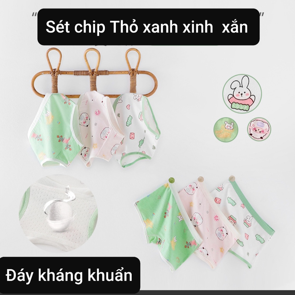 Quần chip bé gái hoạ tiết Thỏ Xanh đáy cotton kháng khuẩn từ 9-47kg