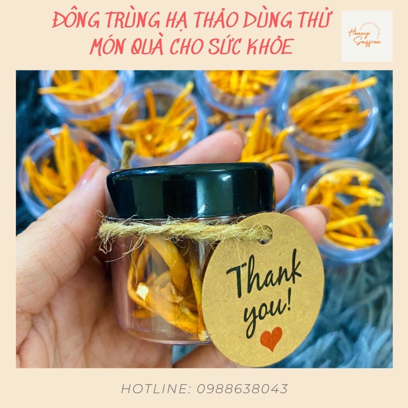 Đông trùng hạ thảo - mẫu dùng thử 7 ngày - hũ 1gr - đông trùng hạ thảo khô sấy thăng hoa cao cấp