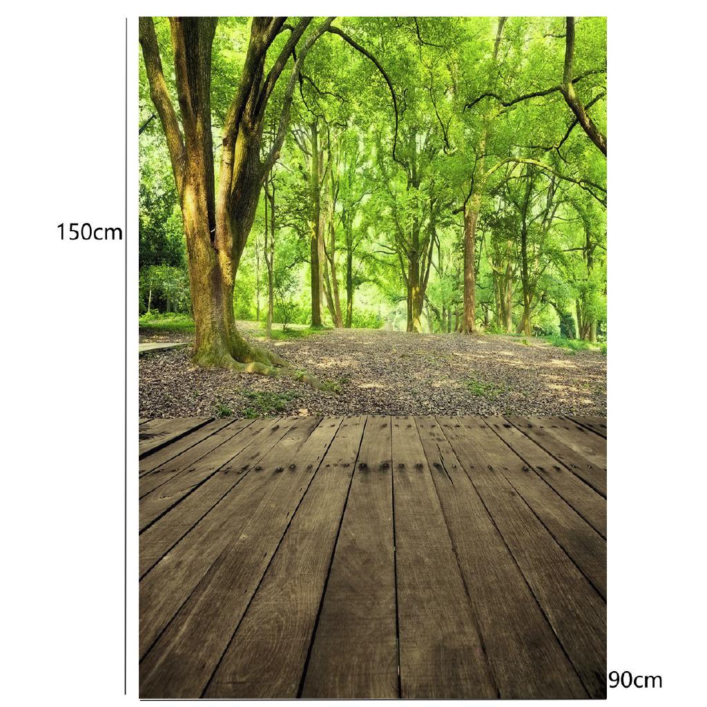 Backdrop cho studio loại phong cảnh rừng cây