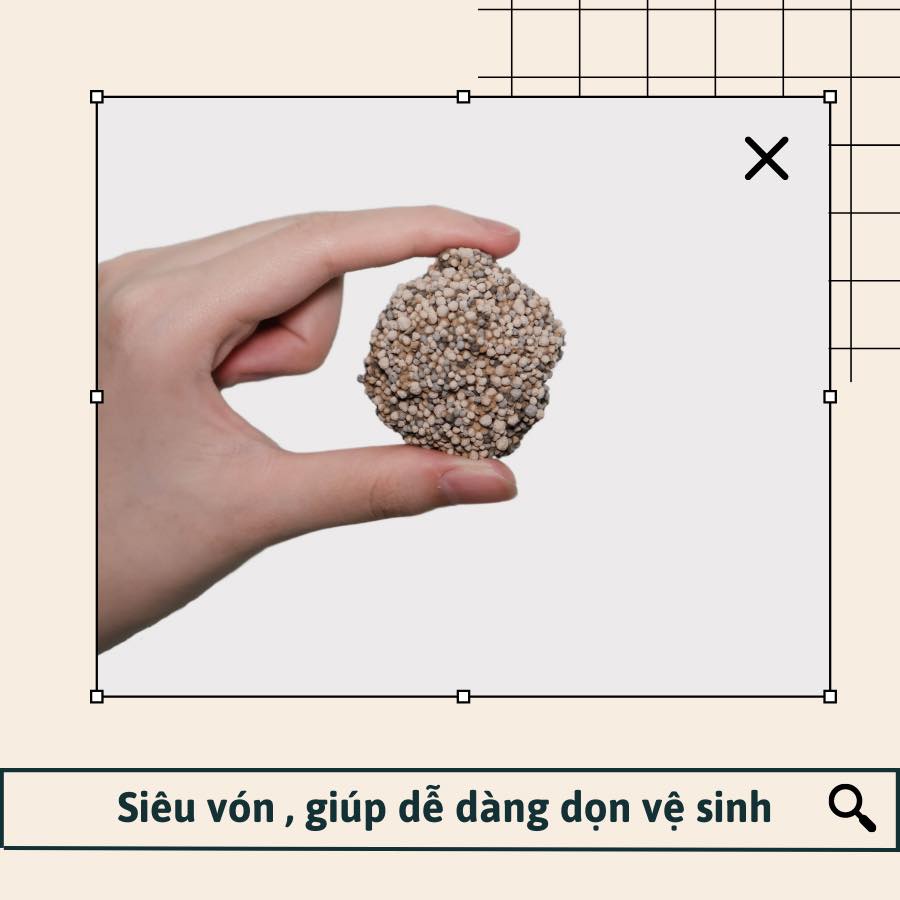 Jolly cat bentonite cat litter Baby powder 5L cát đất sét vệ sinh cho mèo mùi phấn em bé jollycat sản xuất tại Singapore