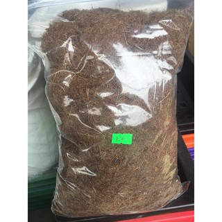 Xơ dừa - Mùn dừa trồng cây