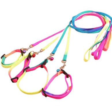 Dây dắt vòng cổ cầu vồng cho chó mèo - Xích cho thú cưng dưới 5kg - Lida Pet Shop