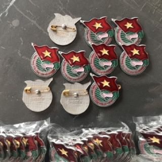 Huy Hiệu Đoàn Việt Nam
