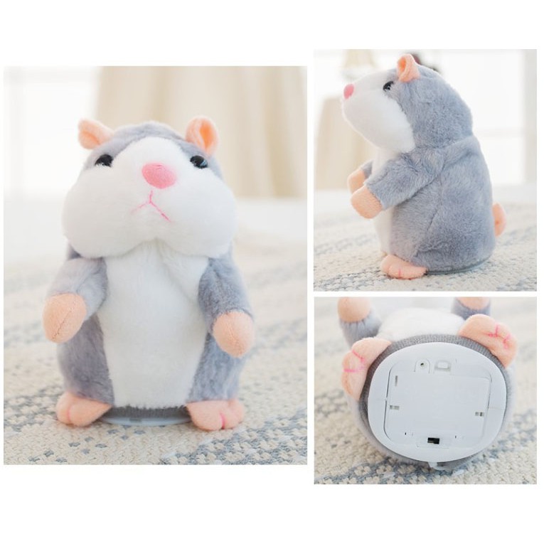 Chuột hamster biết nói biết hát