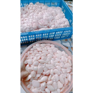 MỠ TRĂN NGUYÊN CHẤT