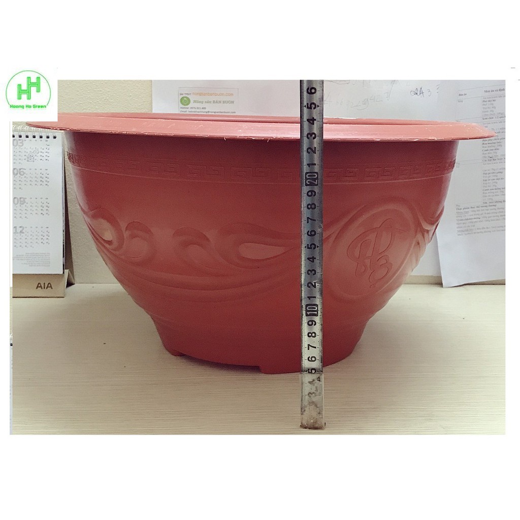 3 Chậu Nhựa Trồng Hoa, Cây Cảnh Bình Thuận Plastic PLT 480