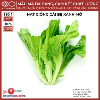 Hạt Giống Cải Bẹ Xanh Mỡ (20gr) - Giống phát triển đồng đều, năng suất cao, chống bênh tốt