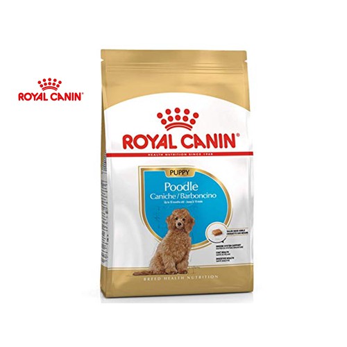 Royal Canin Thức ăn cho chó nhỏ. dưới 10 tháng - Poodle Junior 500g