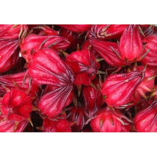 TRÀ ATISO ĐỎ daklak - 100G