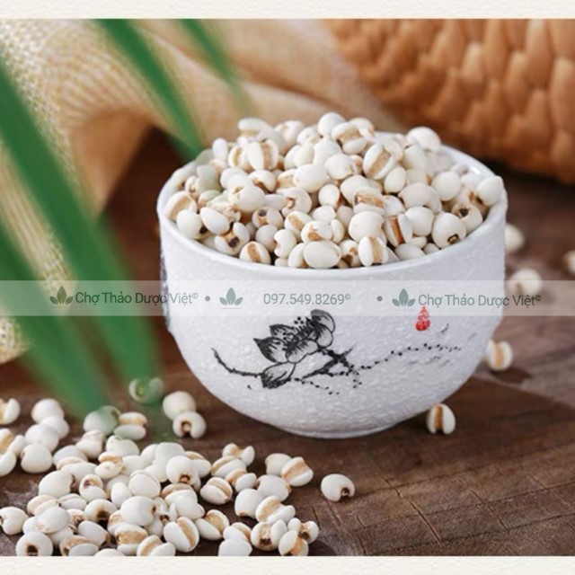 Y Dĩ Nếp Hạt To 100g