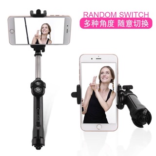Cây tự sướng