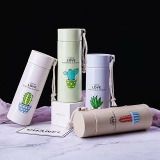 Bình nước giữ nhiệt ♥️FREESHIP♥️ hình xương rồng 500ml