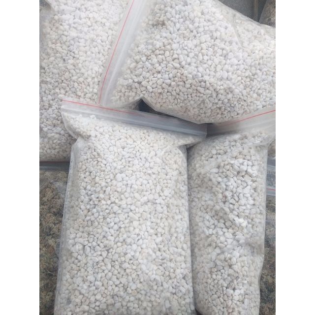 Đá Perlite (đá Trân Châu) túi 2l trồng cây, ấp trứng bò sát