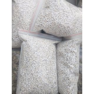 Đá Perlite túi 2l trồng cây, ấp trứng bò sát