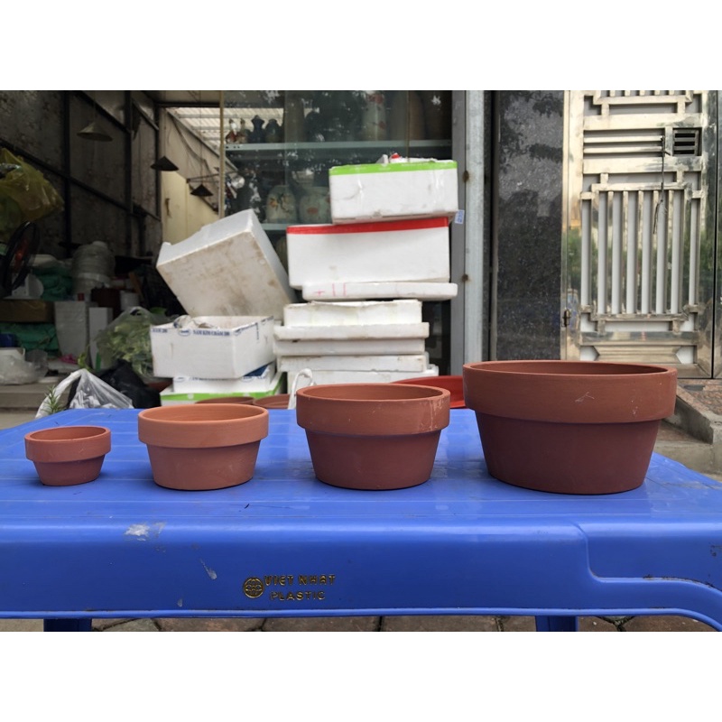 Chậu đất nung trồng sen đá