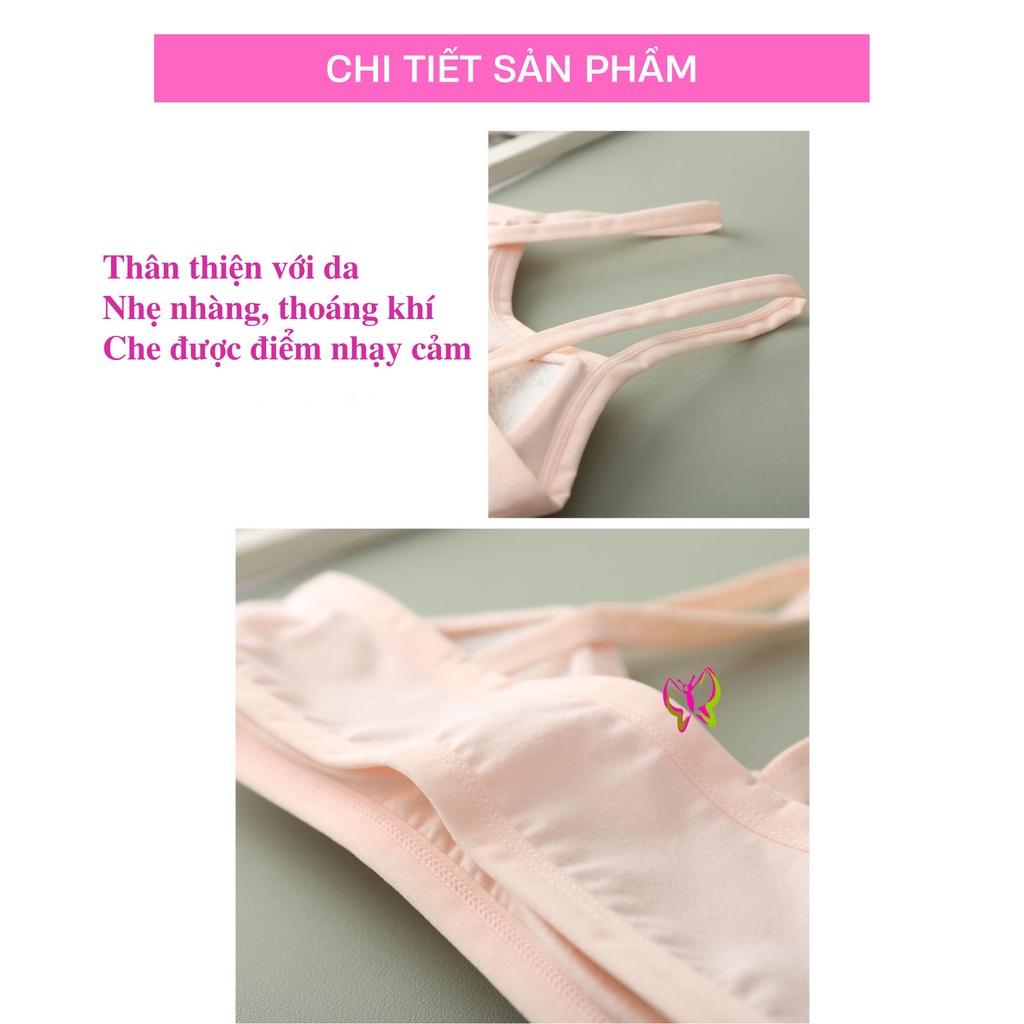 Áo bra nữ học sinh, sinh viên thiết kế đơn giản, trẻ trung, dễ phối đồ  Anna Shop