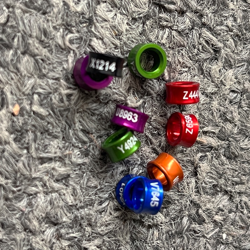 10pcs Vòng đeo chân chim 4mm nhiều màu sắc, vòng chân vẹt dồ chơi làm đẹp