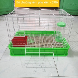 Chuồng Thỏ Lồng Thỏ Size Đại 60*41*37 cm