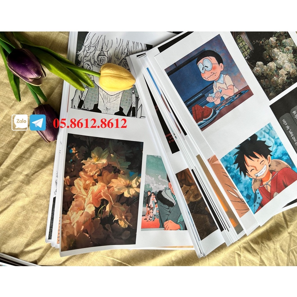 IN MÀU GIÁ SIÊU RẺ 1K/TẤM