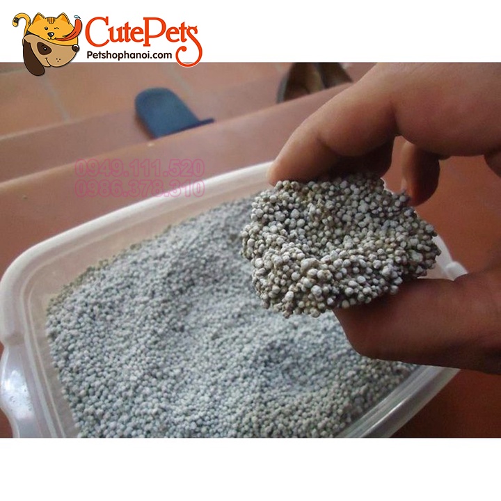 Cát vệ sinh cho mèo, Cát GENKI 5L nhật bản khử mùi tốt - Phụ kiện thú cưng Hà Nội