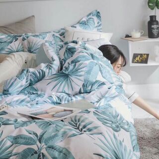 Sét chăn ga cotton 100%