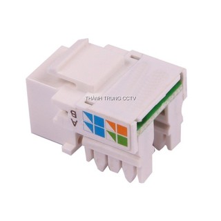 Nhân mạng âm tường Cat5 - Hạt mạng âm tường Cat5 dùng cho mặt nạ AMP/Commscope