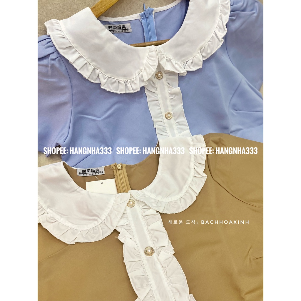 Set Quần short + Áo tay ngắn viền bèo tiểu thư sang chảnh Ulzzang basic trendy