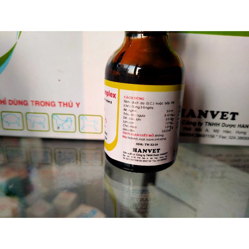 Vitamin Bcomplex tốt cho thú cưng, chó mèo, thiếu hụt vitamin,tăng lực, hồi sức