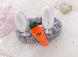BĂNG ĐÔ CÀ RỐT