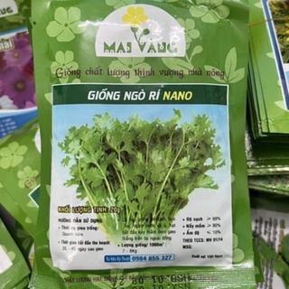 20gr hạt giống ngò rí (rau mùi)