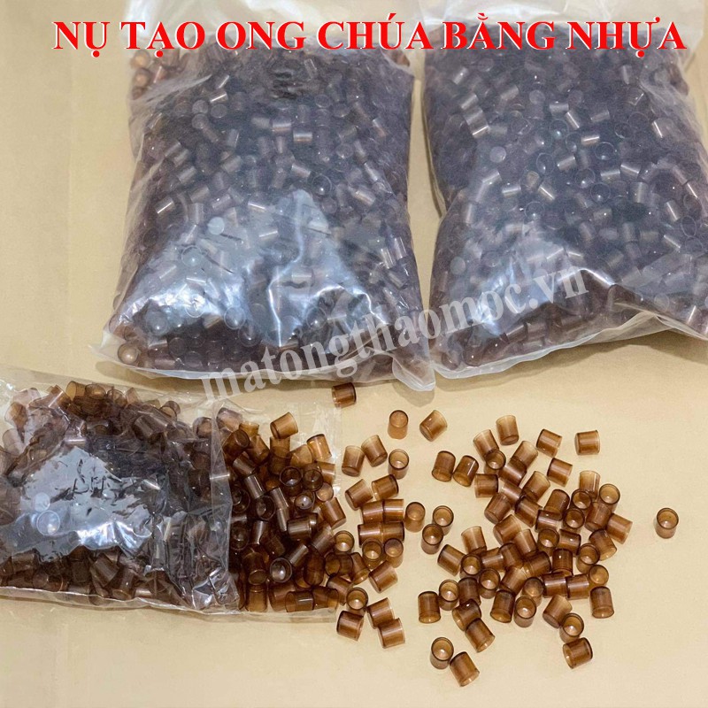 50 Nụ Tạo Ong Chúa Bằng Nhựa Loại Tốt