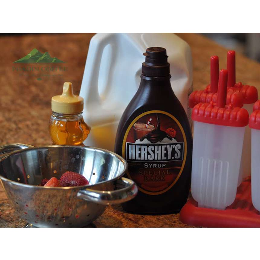 Combo 2 chai Sốt Syrup Hershey's  Hương Chocolate (Genuine Chocolate Flavor) 680gx2