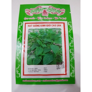 Hạt Giống Rau Kinh Giới ( rau thơm,rau gia vị) -2gr