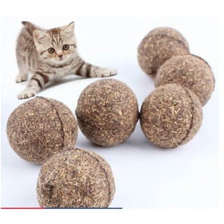 Viên cỏ bạc hà cho Mèo - Cỏ mèo- Canip cho Mèo