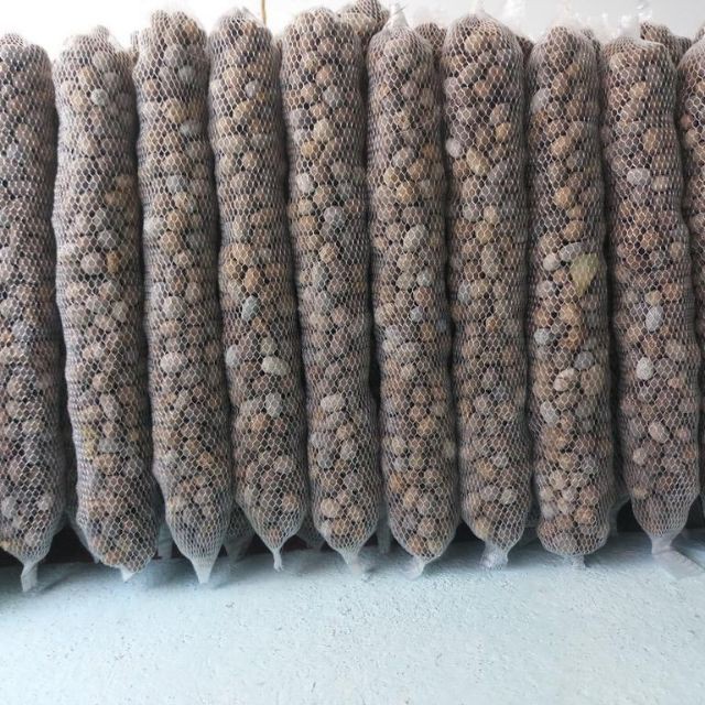 [SIEURE] Phân dê bón lan túi lưới 30cm hàng đẹp, phân phối chuyên nghiệp.