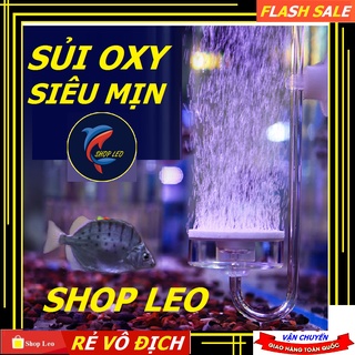 SỦI OXY SIÊU MỊN (CẦN DÀI)- SỦI OXY HỒ CÁ - HỒ THỦY SINH - ĐĨA SỦI MỊN