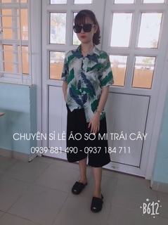 Áo sơ mi hawaii nhiều size