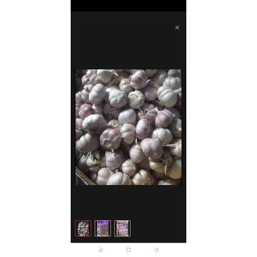 1kg tỏi Ninh Thuận