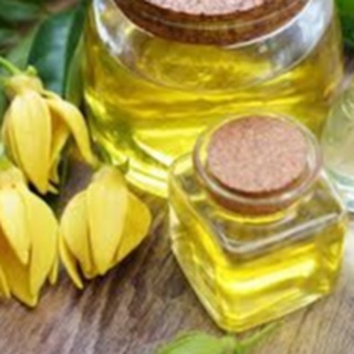 Tinh Dầu Ngọc Lan Tây Hữu Cơ ( Organic Ylang Ylang Essential Oil )