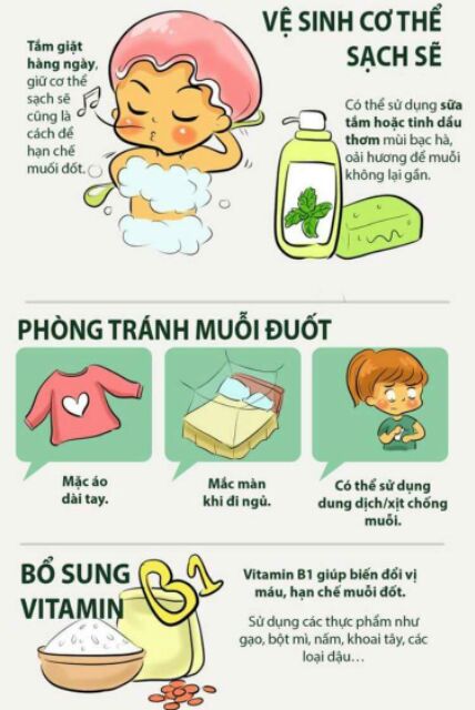 Tinh dầu sả hữu cơ nguyên chất 100%