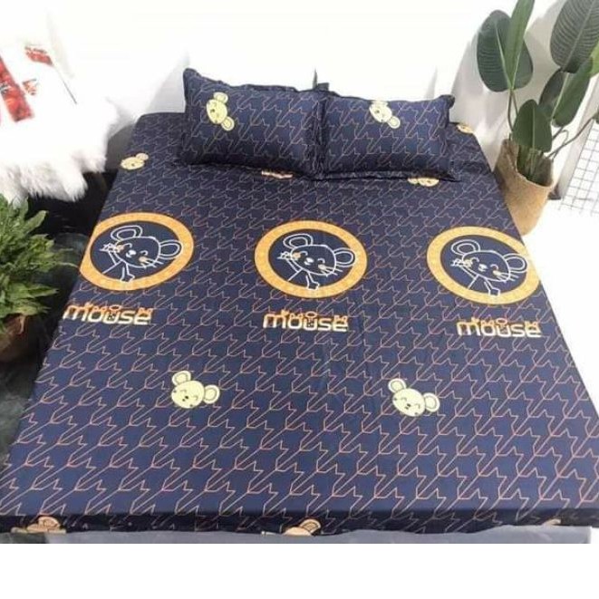 Bộ ga giường và vỏ gối poly cotton nhiều màu sắc và kích thước, drap chun bọc nệm giá rẻ | BigBuy360 - bigbuy360.vn